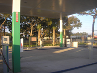 Click this thumbnail for large photo.