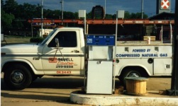 Click this thumbnail for large photo.